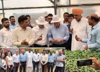 घरौंडा में भारत-इजरायल कृषि संगोष्ठी: तकनीक, सहयोग और भविष्य की रणनीति पर हुई गहन चर्चा Karnal News