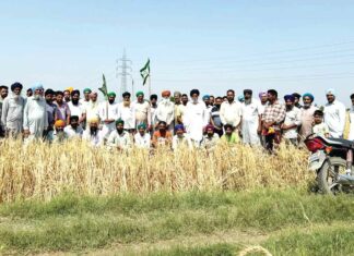 Sangrur News