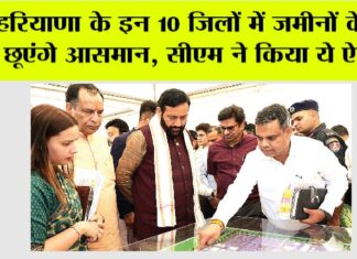 Haryana: हरियाणा के इन 10 जिलों में जमीनों के रेट छूएंगे आसमान, सीएम ने किया ये ऐलान Haryana
