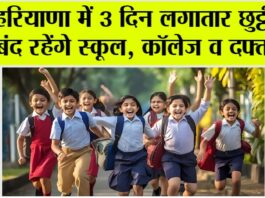 Haryana Holidays
