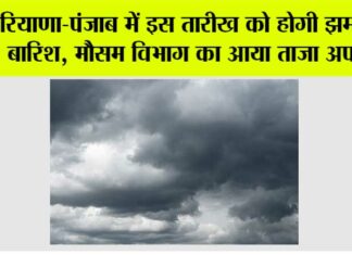 Haryana-Punjab Weather News