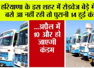 Haryana Roadways