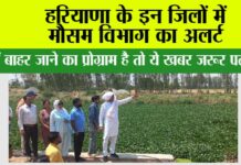 Haryana Weather