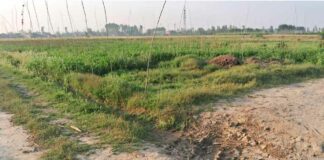 Kairana News