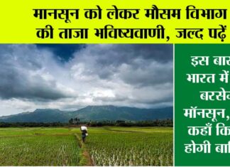 Monsoon 2025