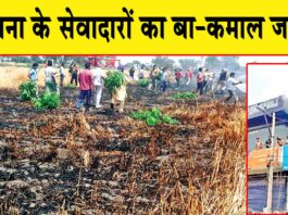 Punjab: सेवा की मिसाल, डेरा सच्चा सौदा के जांबाज़ सेवादारों ने समाना की भीषण आग में दिखाया जज्बा बेमिसाल Punjab News