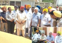 Sangrur News