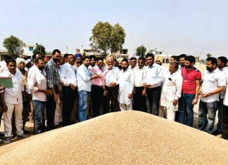 Sangrur News