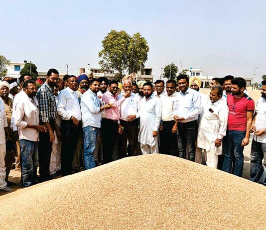 कैबिनेट मंत्री बरिन्द्र गोयल ने मूनक में गेहूँ की सरकारी खरीद करवाई शुरू Sangrur News