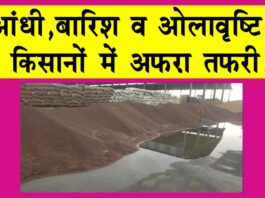 Sirsa Weather: बेमौसमी बारिश, ओलावृष्टि व आंधी से किसानों में हड़कंप! Sirsa Weather