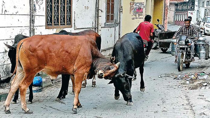 Yamunanagar