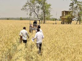 रानियां के सुखदेव सिंह ने जताया न्याय मिलने पर कोर्ट का आभार Sirsa News