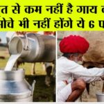 Badri Cow Milk Benefits
