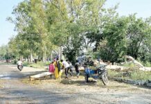Barnala News