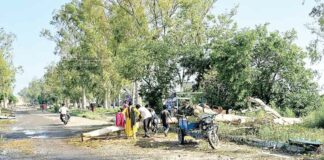 Barnala News