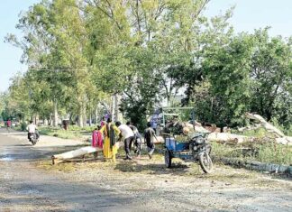 Barnala News