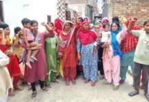 Bhiwani News
