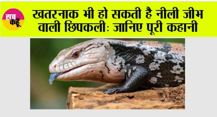 Blue Tongue: