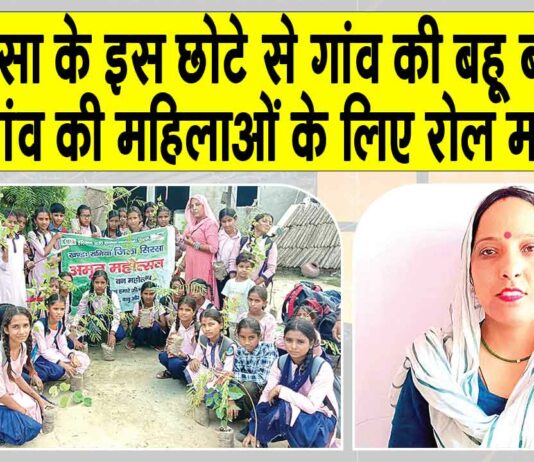 Sirsa News
