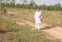 Chhachhrauli News
