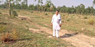 Chhachhrauli News