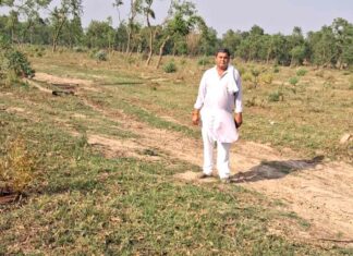 Chhachhrauli News