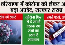 Coronavirus Comeback Haryana