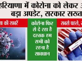 Coronavirus Comeback Haryana