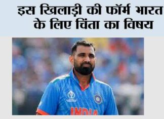 Cricket News