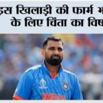 Cricket News