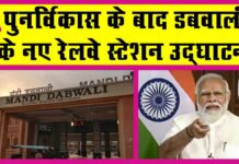Dabwali News