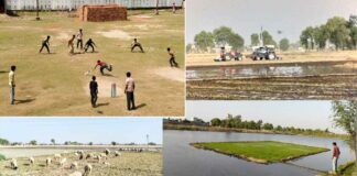 Fazilka News