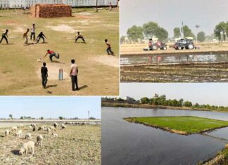 Fazilka News
