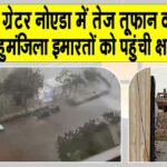 UP News