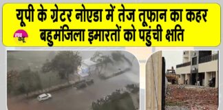 UP News