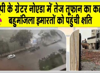 UP News