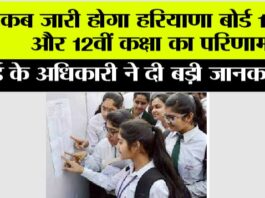 HBSE 12th Result 2025:
