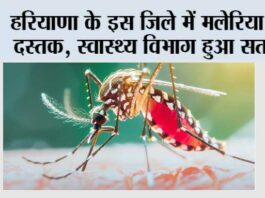 Haryana: हरियाणा के इस जिले में मलेरिया की दस्तक, स्वास्थ्य विभाग हुआ सतर्क Haryana