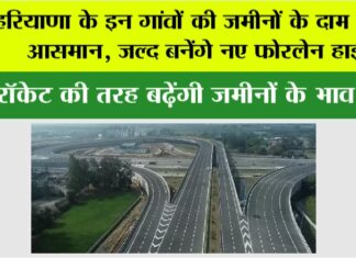 Haryana Highway News