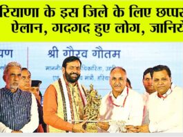 Haryana News