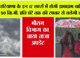 Haryana Weather: हरियाणा के इन 17 शहरों में होगी झमाझम बारिश, 50 कि.मी. प्रति घंटे तक की रफ्तार से चलेगी हवाएं Haryana Weather