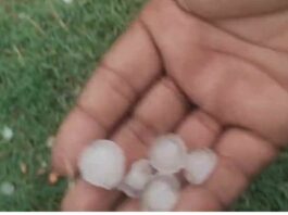 Haryana Weather