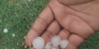 Haryana Weather