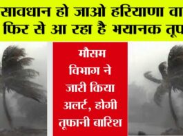 Haryana Weather News