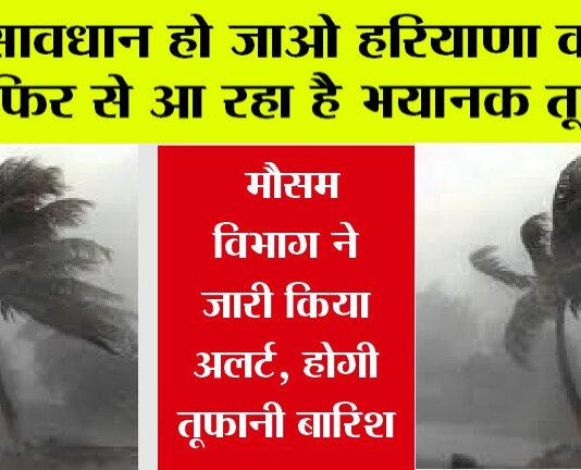 Haryana Weather News