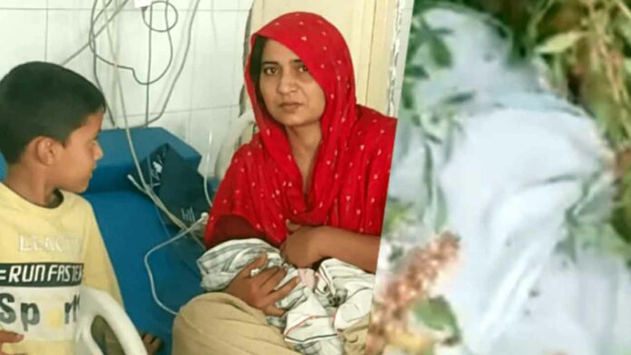 Hisar News