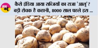 History and origin of Potato