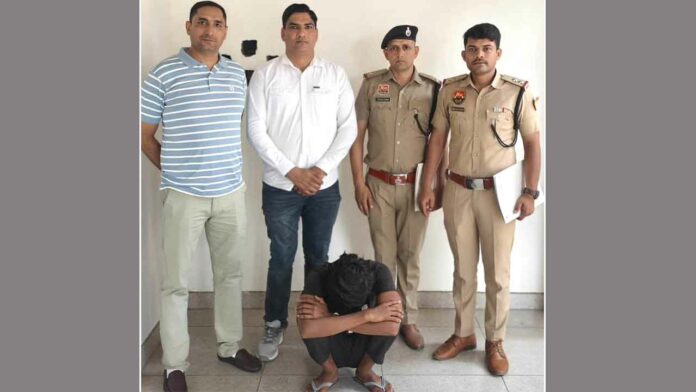 Kaithal News