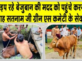 Karnal News