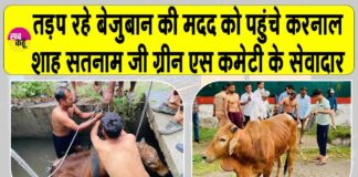 Karnal News